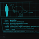 Illustration for article titled Is the Natural History Museum as Inaccurate as Jurassic World?